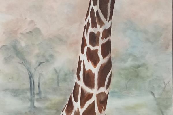 Giraffe Körper