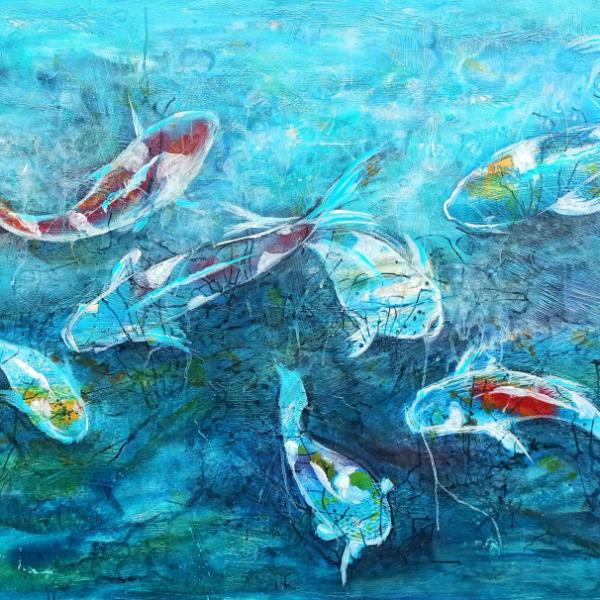 Koi